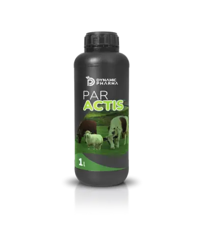 Paractis ™ Ruminant Supplement