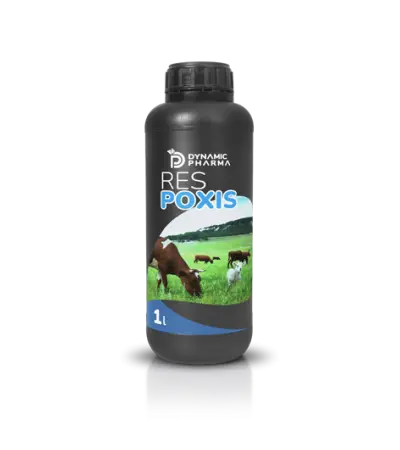 Respoxis ™ Ruminant Supplement