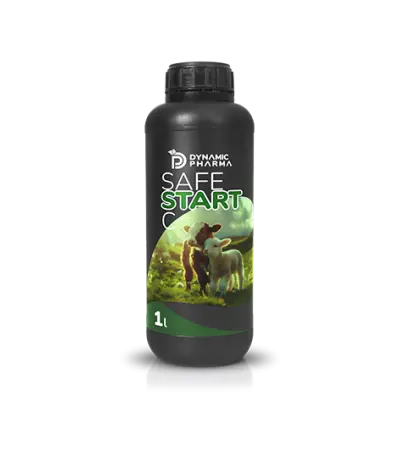 Safe Start C ™ Ruminant Supplement