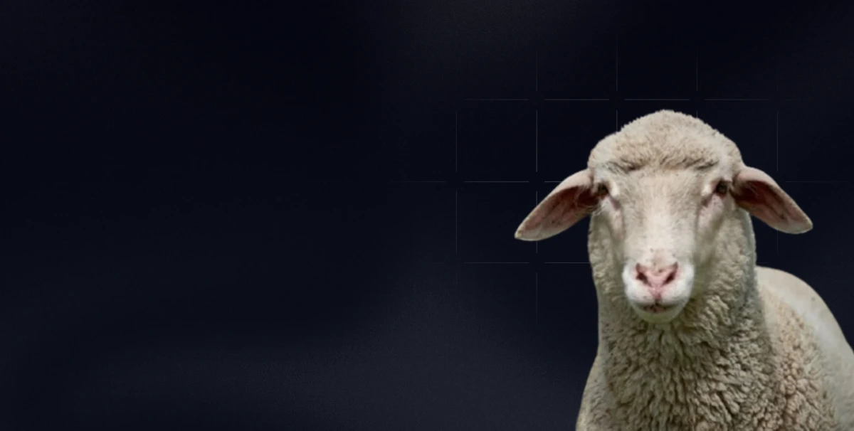 Healthy eating, High productivity....